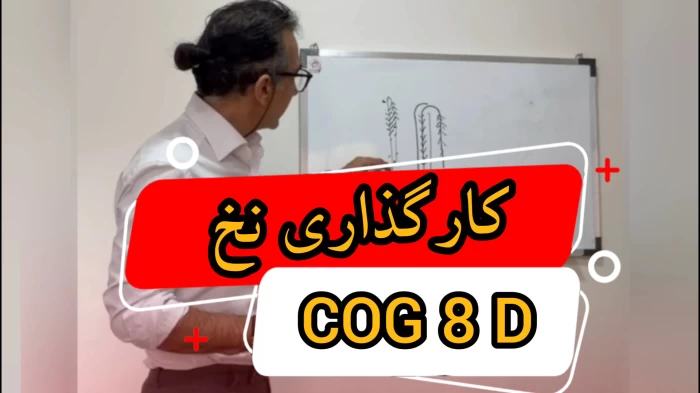 کارگذاری نخ لیفت کاگ برند TR-Q